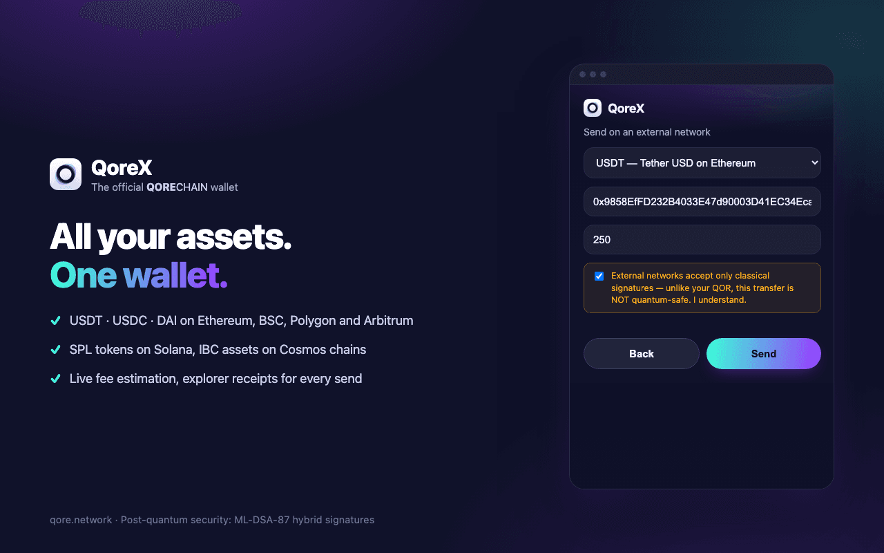 QoreX extension: all your assets — QOR plus ETH, SOL, ATOM and USDT/USDC across 8 networks
